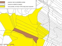 Prodej podílu lesa, Žirovnice, 24331 m2