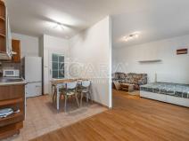 Pronájem bytu 1+1, Praha, U Zahradního města, 48 m2