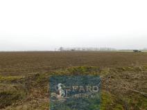 Prodej pole, Dyje, 8295 m2