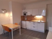 Pronájem bytu 1+kk, Ostrava - Moravská Ostrava, Bachmačská, 28 m2