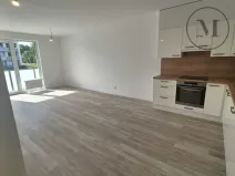 Pronájem bytu 2+kk, České Budějovice, Branišovská, 67 m2