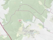 Dražba lesa, Veverské Knínice, 77 m2