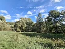 Prodej pozemku pro bydlení, Milíkov, 4644 m2