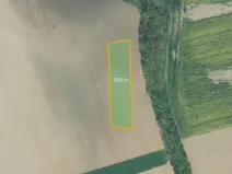 Prodej pole, Dnešice, 3831 m2