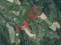 Prodej podílu louky, Jílové u Držkova, 29340 m2