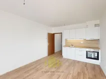 Pronájem bytu 1+kk, Olomouc, Camilla Sitteho, 32 m2