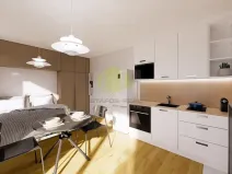 Prodej bytu 1+kk, Lipník nad Bečvou, Mánesova, 25 m2