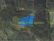 Prodej lesa, Růžďka, 21209 m2