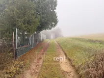 Prodej zahrady, Silůvky, 419 m2