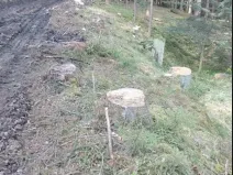 Prodej lesa, Žihobce, 802 m2