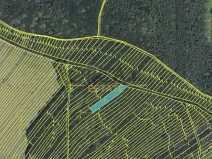 Prodej pole, Mistřice, 3576 m2