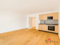 Pronájem bytu 1+kk, Brno - Zábrdovice, Bratislavská, 38 m2