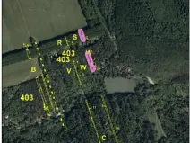 Prodej lesa, Kněždub, 671 m2