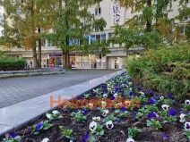 Pronájem obchodního prostoru, Havířov - Město, nám. Republiky, 66 m2