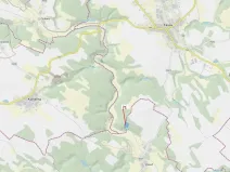 Dražba lesa, Pyšel, 6602 m2