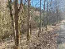 Dražba pozemku, Čachrov, 10377 m2