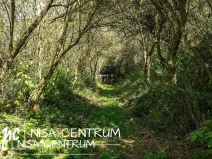 Prodej lesa, Obruby, 3075 m2