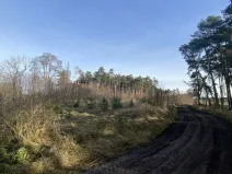 Prodej lesa, Kostelní Lhota, 9438 m2