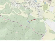 Dražba lesa, Pačejov, 1363 m2