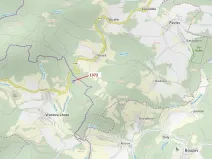 Dražba lesa, Vranová Lhota, 5978 m2