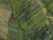 Prodej louky, Javorník, 4658 m2