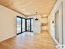 Pronájem bytu 3+kk, Praha, Ujgurská, 57 m2