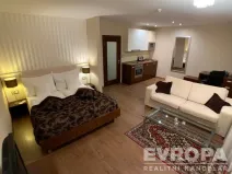 Pronájem bytu 1+kk, Plzeň - Jižní Předměstí, U Borského parku, 37 m2