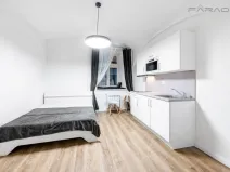 Pronájem bytu 1+kk, Praha - Nové Město, Petrská, 26 m2