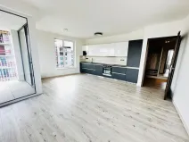 Pronájem bytu 2+kk, Ostrava - Moravská Ostrava, F. X. Riepla, 60 m2