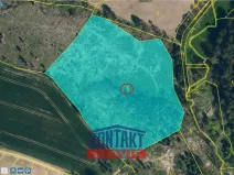 Prodej lesa, Vokov, 19055 m2