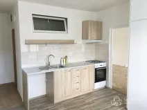 Pronájem bytu 1+1, Sokolov, Švabinského, 43 m2