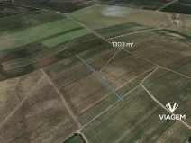 Prodej pole, Prušánky, 1303 m2