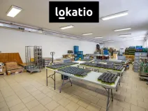 Pronájem skladu, Hořice, 321 m2