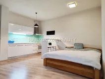 Pronájem bytu 1+kk, České Budějovice - České Budějovice 2, Volejbalistů, 42 m2