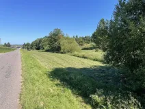 Prodej pozemku, Dolní Dobrouč - Horní Dobrouč, 6634 m2