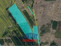 Prodej lesa, Žirovnice, 11124 m2