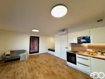 Pronájem bytu 1+kk, Praha, Basilejské náměstí, 43 m2