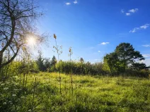 Prodej pozemku, Praha, 594 m2