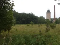 Dražba louky, Meziměstí, 28977 m2