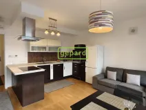 Pronájem bytu 2+kk, Brno - Zábrdovice, Slepá, 45 m2