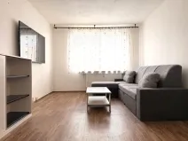 Prodej bytu 1+1, Bor, Borská, 40 m2