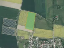 Prodej pole, Břest, 28823 m2