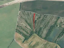 Prodej sadu/vinice, Svatobořice-Mistřín, 1492 m2