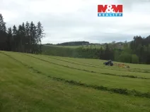 Prodej lesa, Vysoká Srbská, 26095 m2