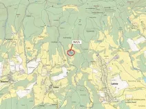 Dražba lesa, Lačnov, 12637 m2