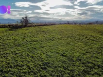 Prodej pozemku pro bydlení, Těrlicko, 4357 m2