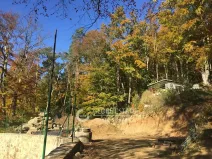 Prodej chaty, Řehenice, 20 m2