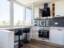 Pronájem bytu 3+kk, Praha - Karlín, K Olympiku, 68 m2