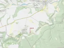 Dražba lesa, Ivančice, 1130 m2