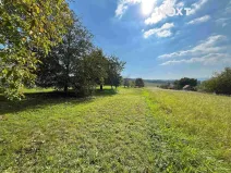 Prodej pozemku pro bydlení, Bařice-Velké Těšany, 962 m2